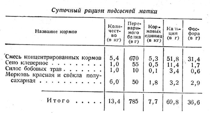 Суточный рацион подсосной матки