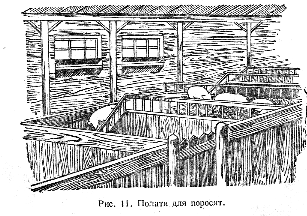 Палати для поросят