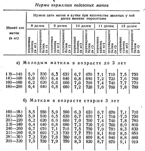 Нормы кормления подсосных маток