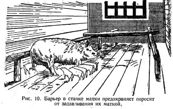 Барьер в станке матки