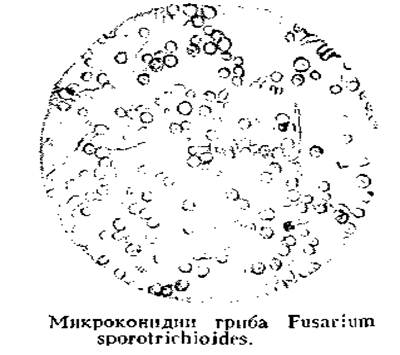 Фузариотоксикоз