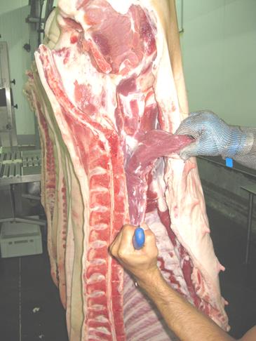 Вырезка свиная - пояснично - подвздошная мышца